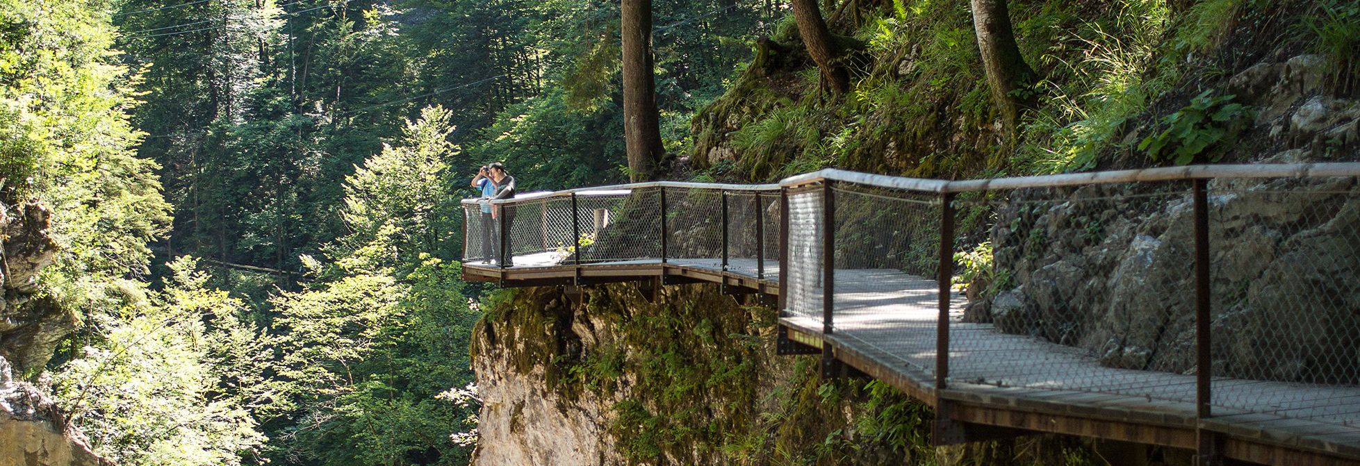 Rappenlochschlucht  (c) Darko Todorovic  - Dornbirn Tourismus & Stadtmarketing GmbH