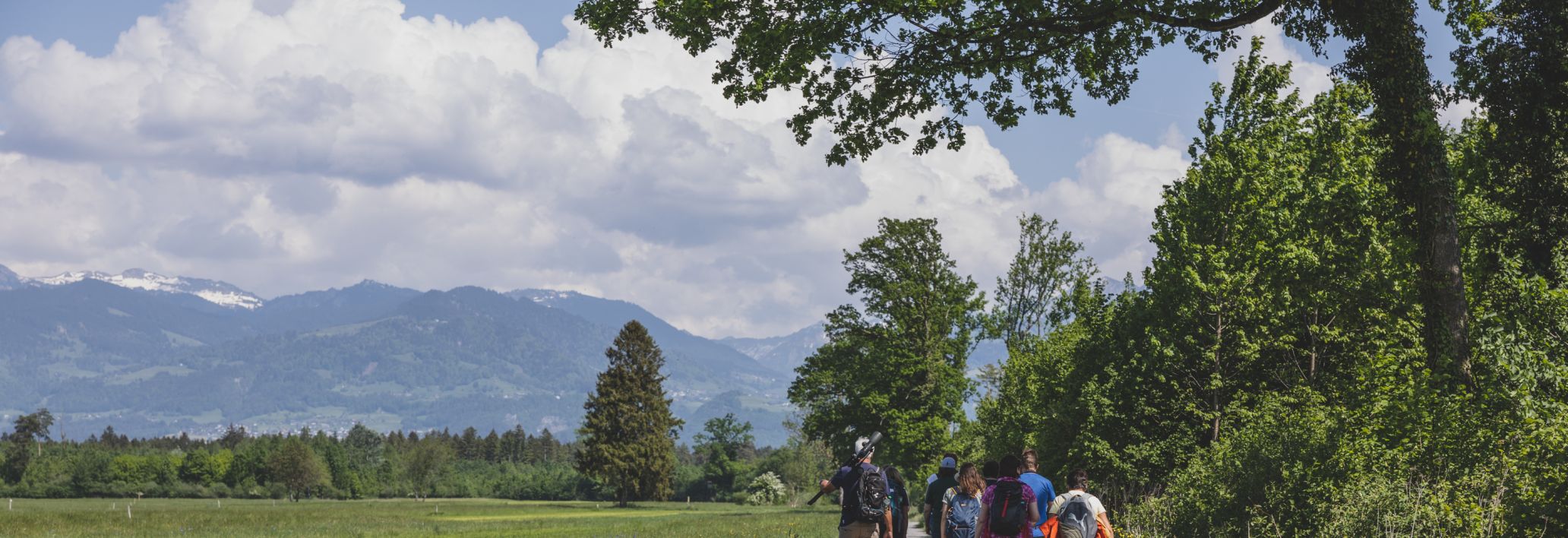 Naturpicknick Bangser Ried