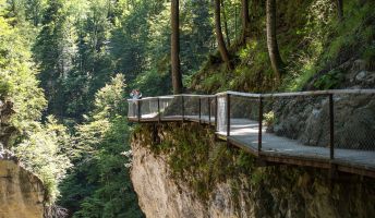 Rappenlochschlucht (c) Darko Todorovic - Dornbirn Tourismus & Stadtmarketing GmbH Rappenlochschlucht (c) Darko Todorovic - Dornbirn Tourismus & Stadtmarketing GmbH