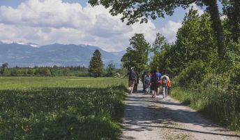 Naturpicknick Bangser Ried